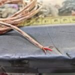 Kabel Head Audio Stereo Skerem Isi 3 Tembaga Gold Shileded Speaker Mic - Image 3