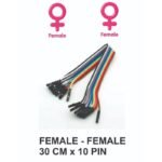 Kabel Jumper Cable Dupont 30 cm x10 Female Female Arduino Breadboard - Image 2