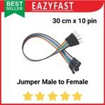 Kabel Jumper Cable Dupont 30 cm x10 Male Female Arduino Breadboard